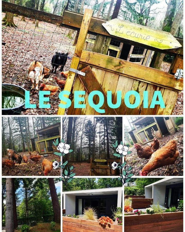 Le Sequoia Lägenhet Saint-Sébastien-sur-Loire Exteriör bild