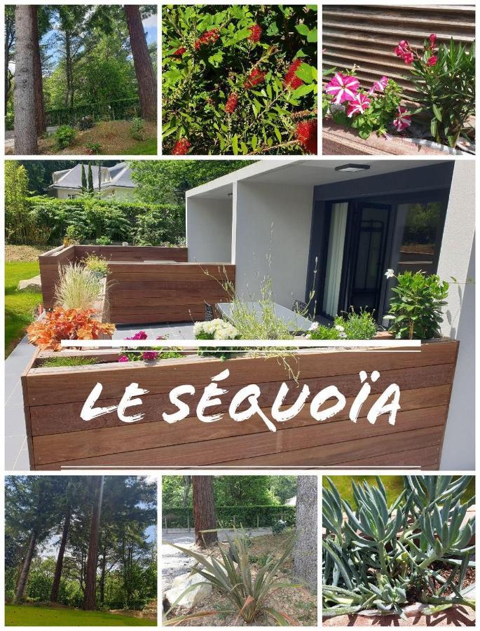 Le Sequoia Lägenhet Saint-Sébastien-sur-Loire Exteriör bild