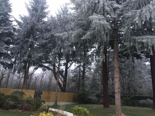 Le Sequoia Lägenhet Saint-Sébastien-sur-Loire Exteriör bild